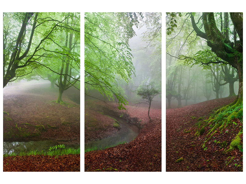 3-piece-canvas-print-the-forest-maravillador-iii