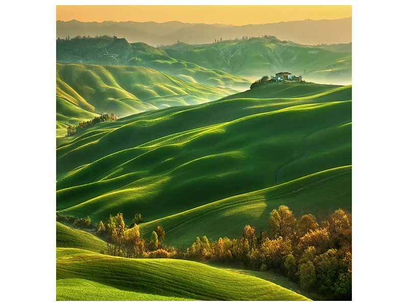 canvas-print-mucigliani