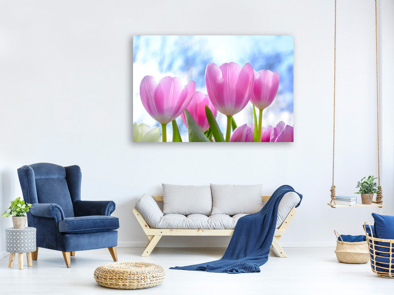 canvas-print-tulips-in-nature