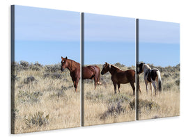 3-piece-canvas-print-3-horses-in-nature