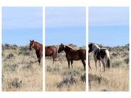 3-piece-canvas-print-3-horses-in-nature