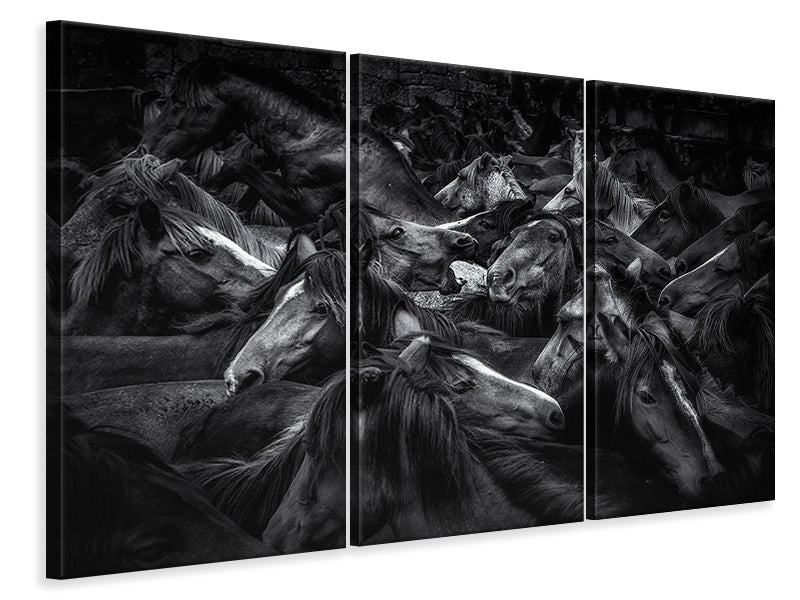 3-piece-canvas-print-acorralados