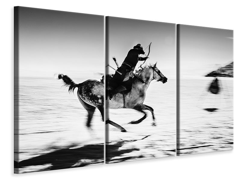 3-piece-canvas-print-action