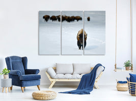 3-piece-canvas-print-alpha-male-bison