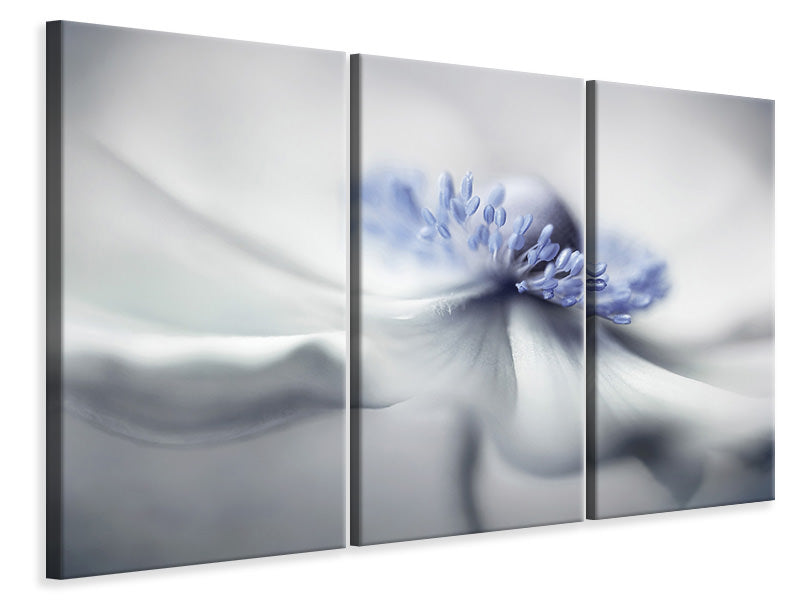 3-piece-canvas-print-anemone-spirit