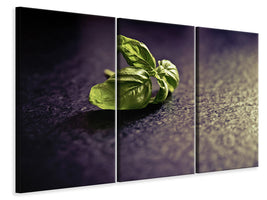 3-piece-canvas-print-basil-leaves