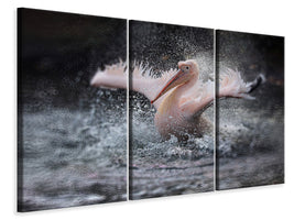 3-piece-canvas-print-bathing-fun