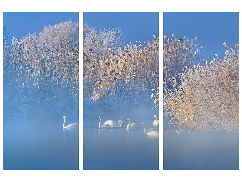 3-piece-canvas-print-blue-swan-lake