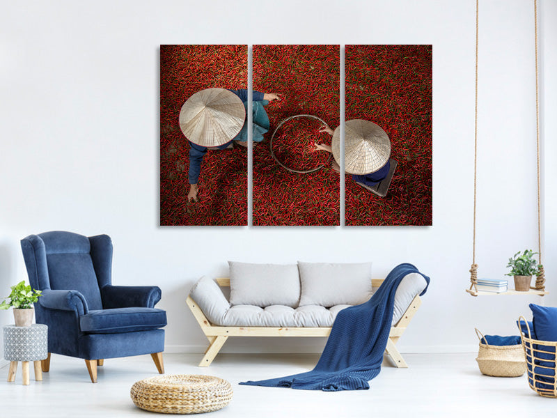 3-piece-canvas-print-chilli