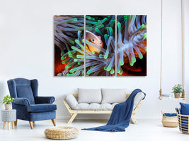 3-piece-canvas-print-clownfish