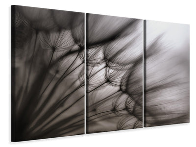 3-piece-canvas-print-dandelion-p