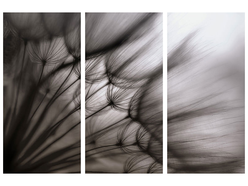 3-piece-canvas-print-dandelion-p