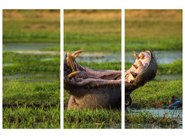 3-piece-canvas-print-dare-to-yawn