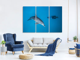 3-piece-canvas-print-dolphin-and-freediver