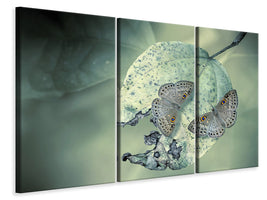 3-piece-canvas-print-duet