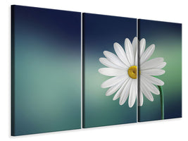 3-piece-canvas-print-flower