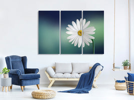 3-piece-canvas-print-flower