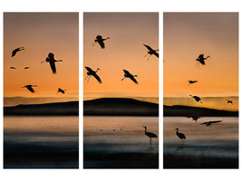 3-piece-canvas-print-fly-in-at-sunset