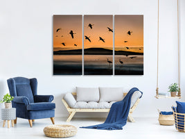 3-piece-canvas-print-fly-in-at-sunset