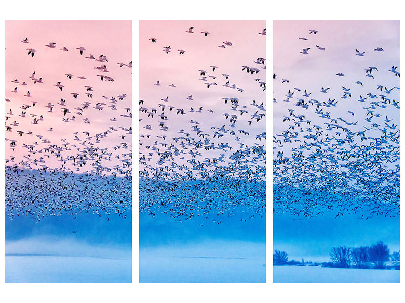 3-piece-canvas-print-flying-in-the-fogging-morning