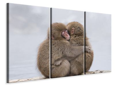 3-piece-canvas-print-forever-friends