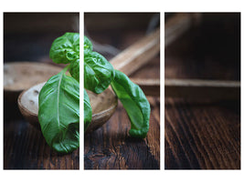 3-piece-canvas-print-fresh-basil-xl