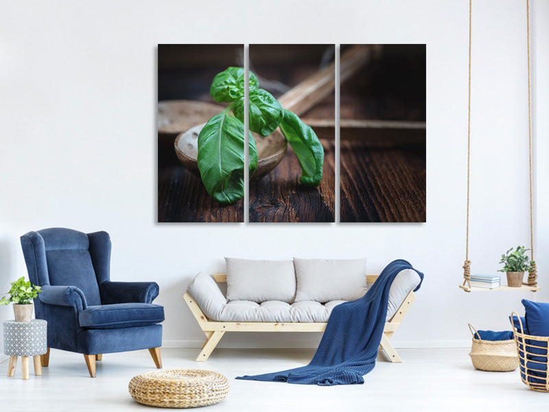 3-piece-canvas-print-fresh-basil-xl