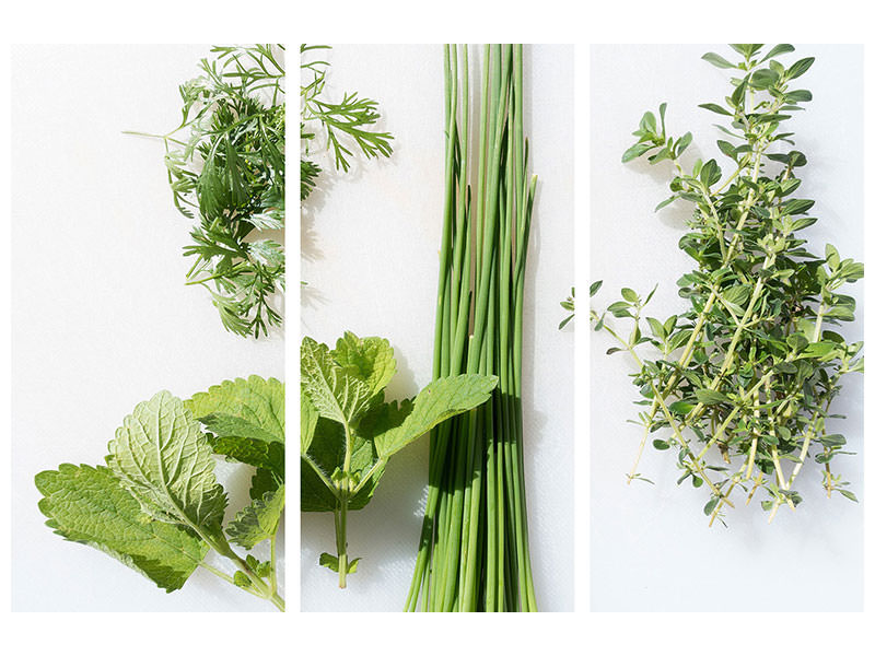 3-piece-canvas-print-fresh-herbs