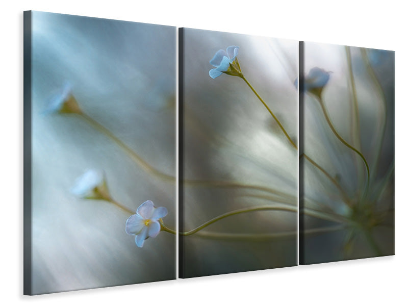 3-piece-canvas-print-jasmine