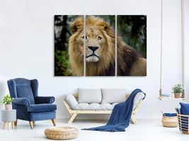 3-piece-canvas-print-king-of-wildlife