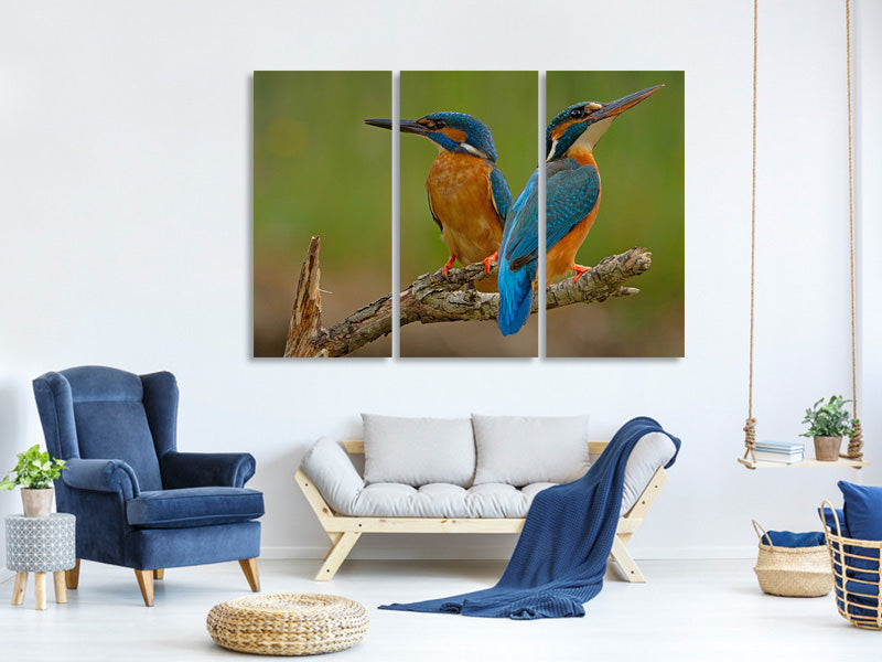 3-piece-canvas-print-kingfisher