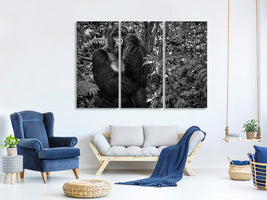 3-piece-canvas-print-kwitonda-silverback