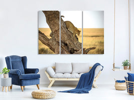 3-piece-canvas-print-leopard-serengheti-tanzania