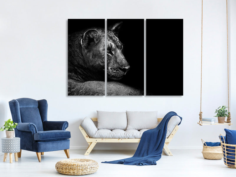 3-piece-canvas-print-lion