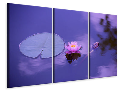 3-piece-canvas-print-lotus-flower