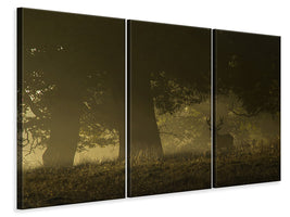 3-piece-canvas-print-magical-sunrise