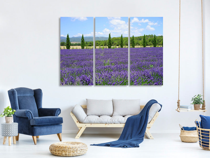 3-piece-canvas-print-magnificent-lavender-field