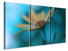 3-piece-canvas-print-memories-of-sea