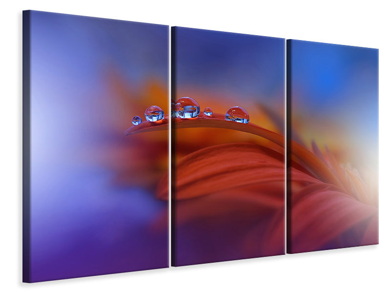 3-piece-canvas-print-metamorphosis