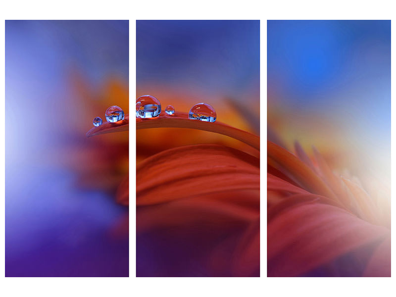 3-piece-canvas-print-metamorphosis