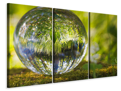 3-piece-canvas-print-nature-ball