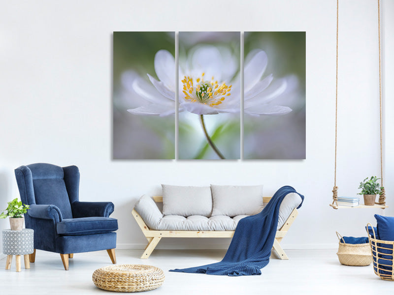 3-piece-canvas-print-nemorosa-nirvana