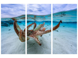 3-piece-canvas-print-octopus-ii