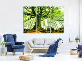 3-piece-canvas-print-ponthus-beech