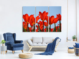 3-piece-canvas-print-red-tulips-xl