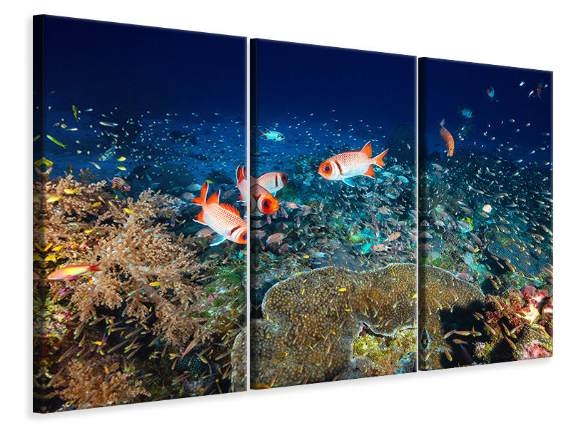 3-piece-canvas-print-reef-lifeii