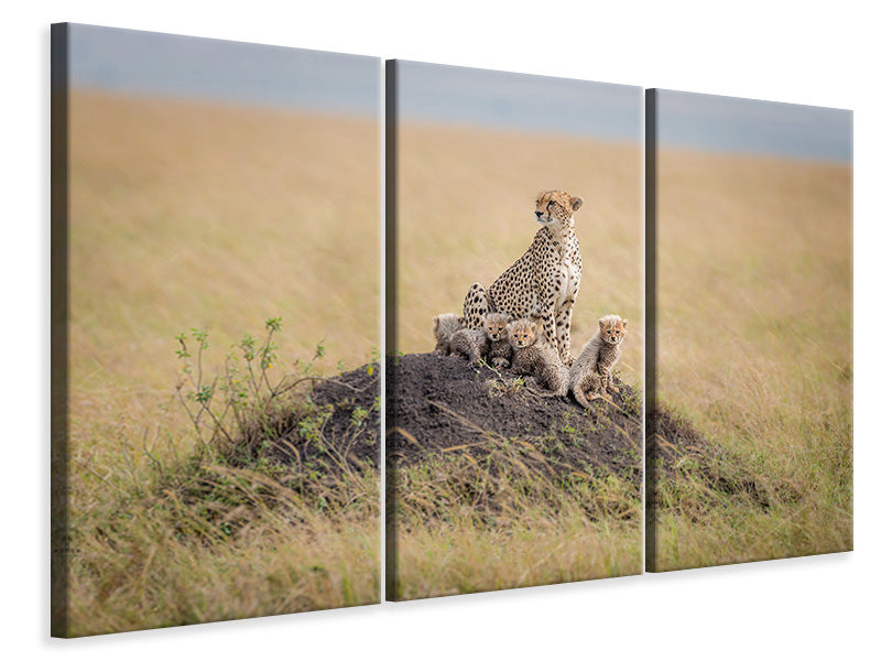 3-piece-canvas-print-regal-protector