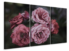 3-piece-canvas-print-romantic-roses