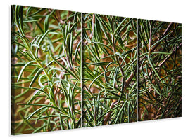 3-piece-canvas-print-rosemary-xxl