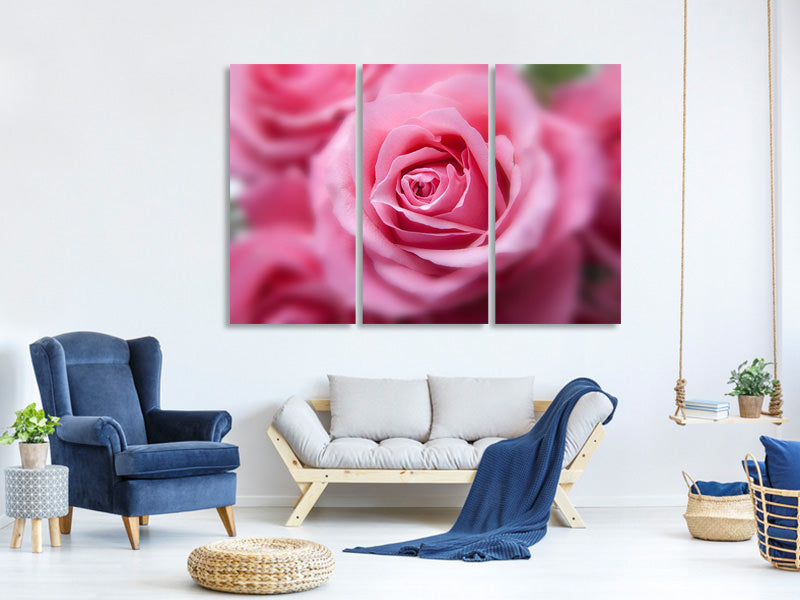 3-piece-canvas-print-roses-macro